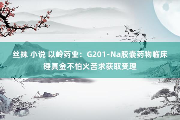 丝袜 小说 以岭药业：G201-Na胶囊药物临床锤真金不怕火苦求获取受理
