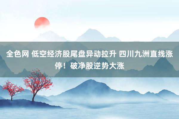 全色网 低空经济股尾盘异动拉升 四川九洲直线涨停！破净股逆势大涨