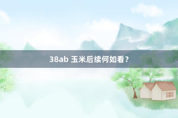 38ab 玉米后续何如看？