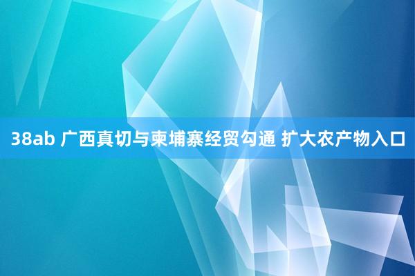 38ab 广西真切与柬埔寨经贸勾通 扩大农产物入口