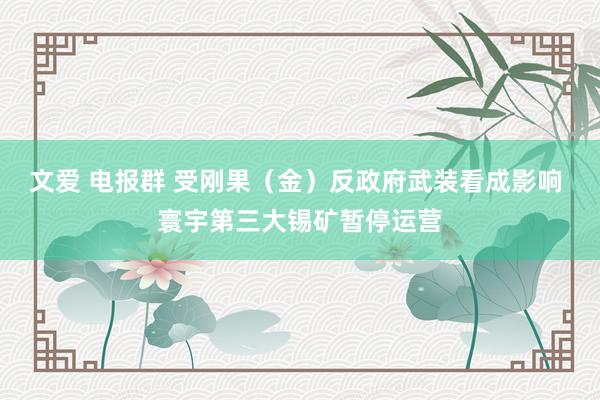 文爱 电报群 受刚果（金）反政府武装看成影响 寰宇第三大锡矿暂停运营