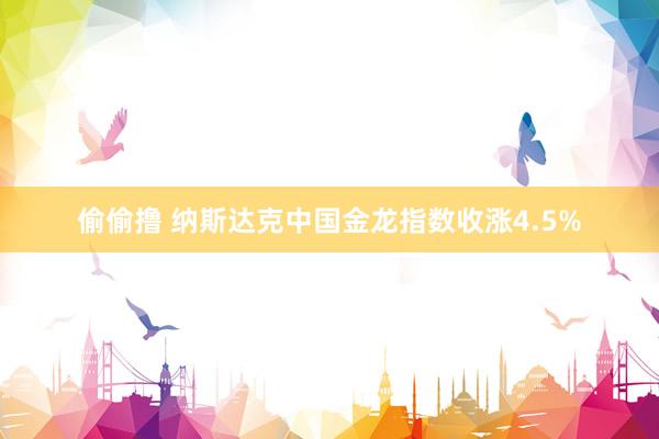 偷偷撸 纳斯达克中国金龙指数收涨4.5%